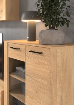 meble DELIS 13 szafka półka wisząca ścienna z drzwiami dąb cremona