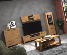 meble DELIS #2 regał szafka RTV wytryna półka stolik kawowy dąb artisan