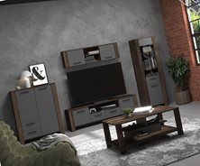 meble DELIS #2 regał szafka RTV wytryna półka stolik kawowy dąb grange graf