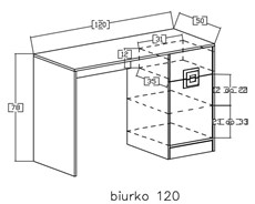 meble NICO _10 biurko dąb jasny / biały